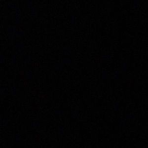 Meet your Posher, Amelia